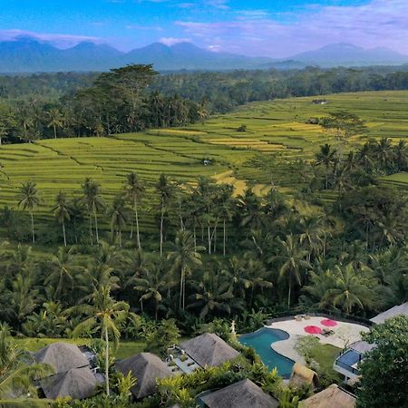 Puri Sebali Resort Ubud Dış mekan fotoğraf