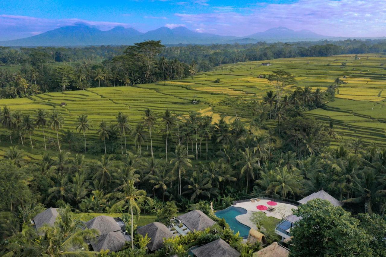 Puri Sebali Resort Ubud Dış mekan fotoğraf