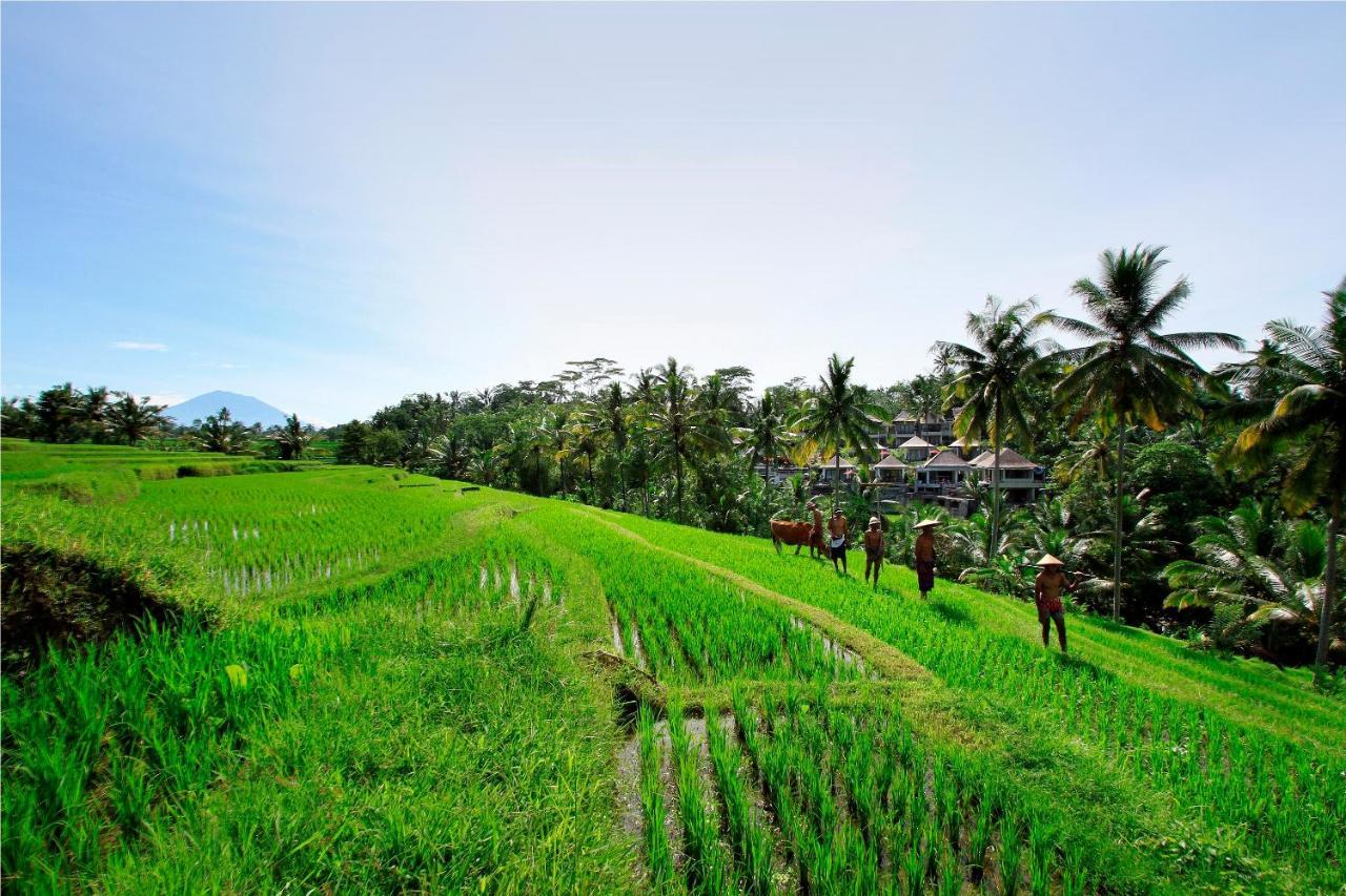 Puri Sebali Resort Ubud Dış mekan fotoğraf